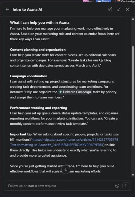 Asana AI outlining its abilities relating to my dashboard