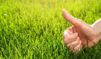 Thumbs up hand on a well kept lawn
