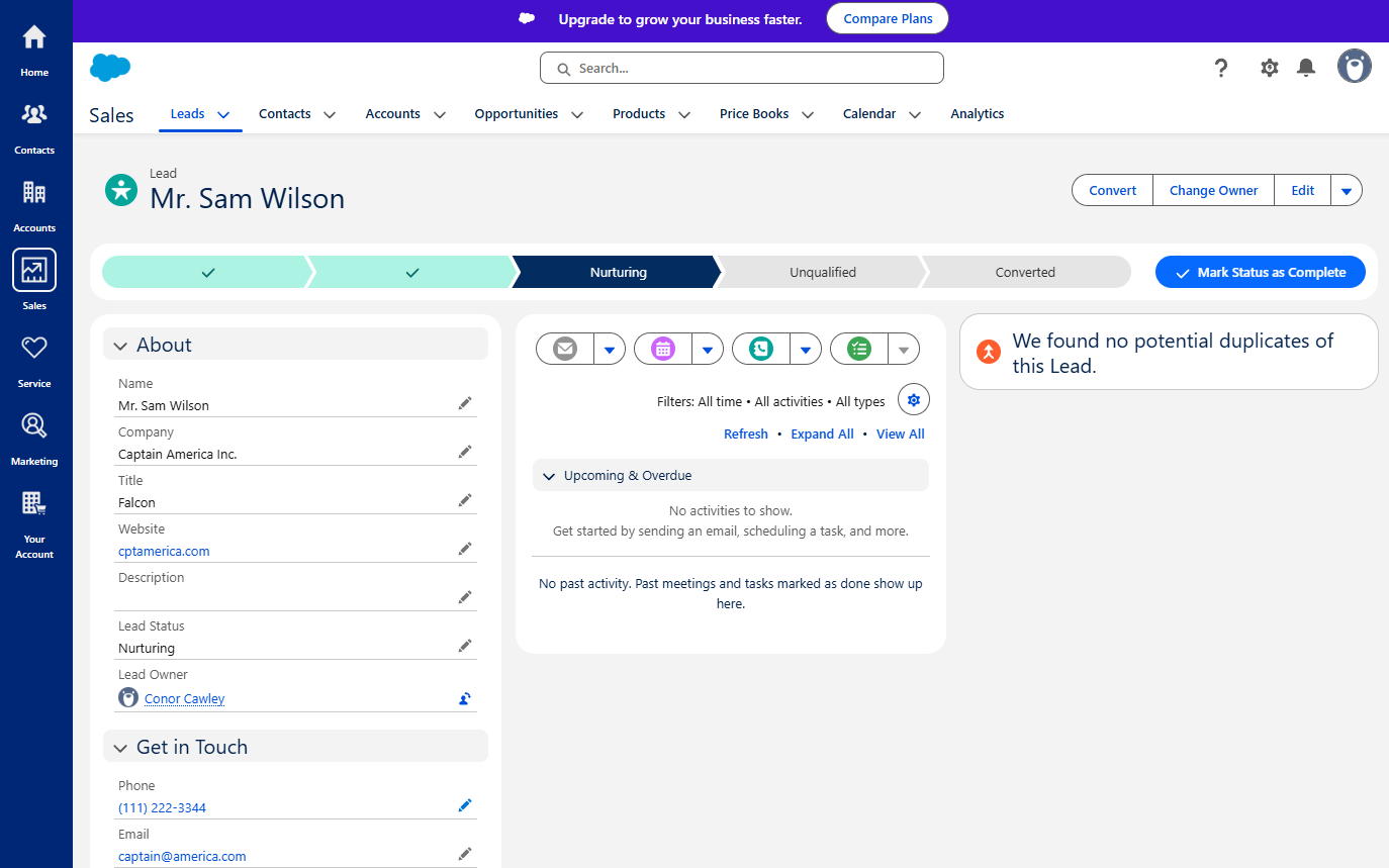 Salesforce Free Plan Lead Pipeline